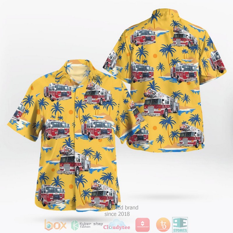 Pokemon Ball Summer Hawaiian Shirt