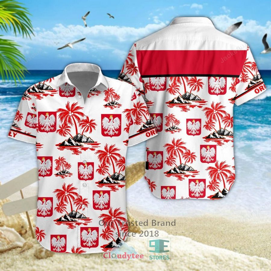 Pokemon File Casual Hawaiian Shirt