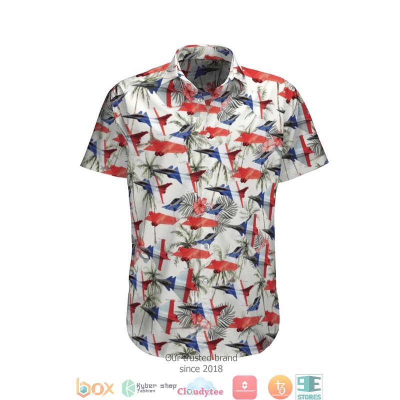 Ragdoll Cat Hawaii 3D shirt