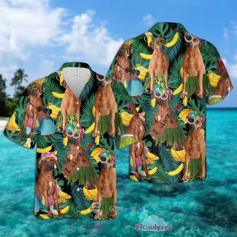 Rhode Island State Coconut Hawaiian Shirt