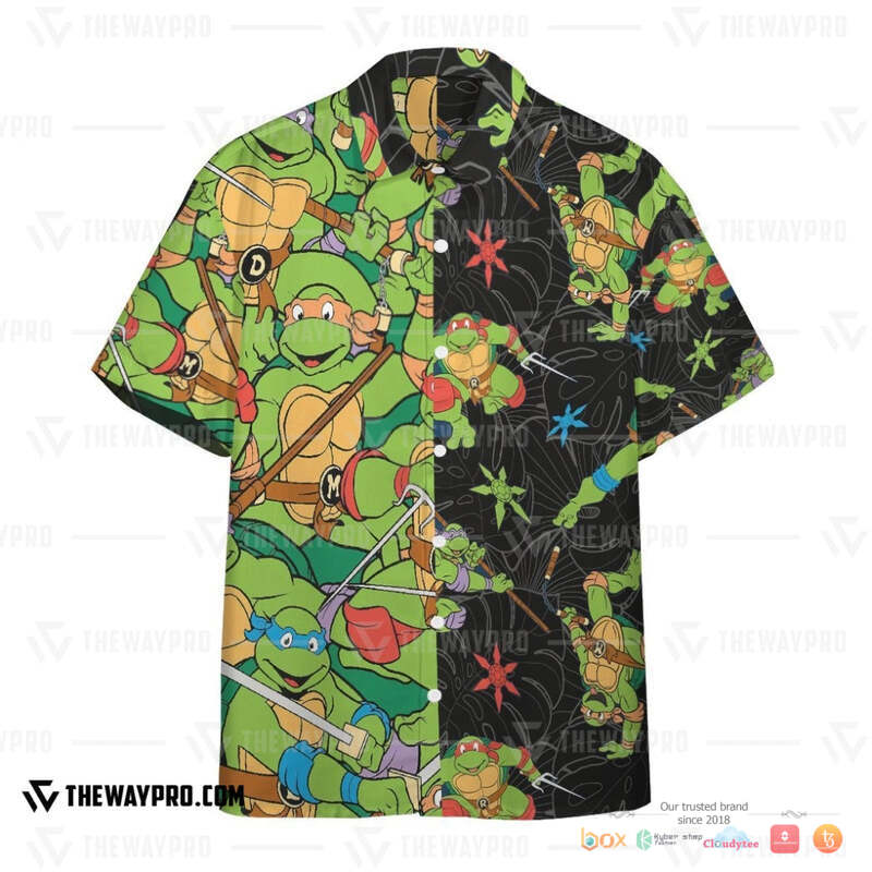 Teenage Mutant Ninja Turtles Characters Hawaiian shirt