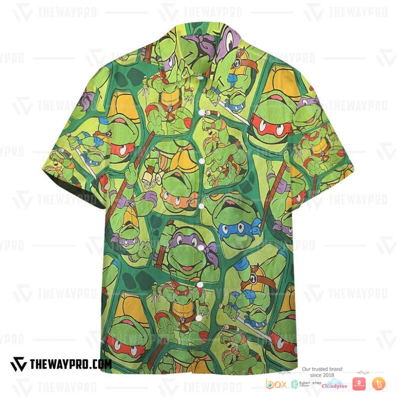 Teenage Mutant Ninja Turtles Leonardo Hawaiian shirt