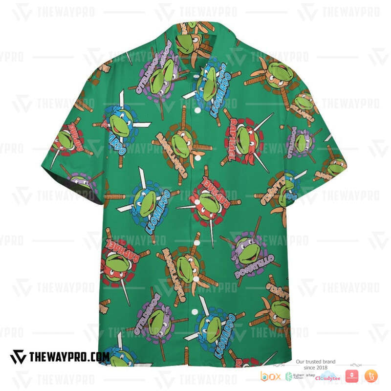 Teenage Mutant Ninja Turtles Characters Hawaiian shirt