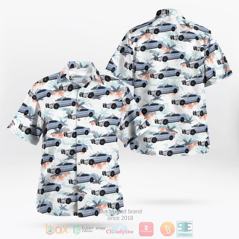 Tennessee Titans NFL Island Hawaiian Shirt