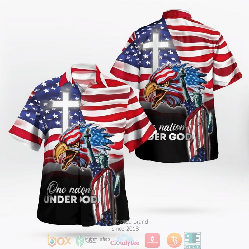 US Military Aircraft Independence Day Hawaii 3D shirt