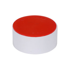 EXTENSION COUPLING WITH PLUG