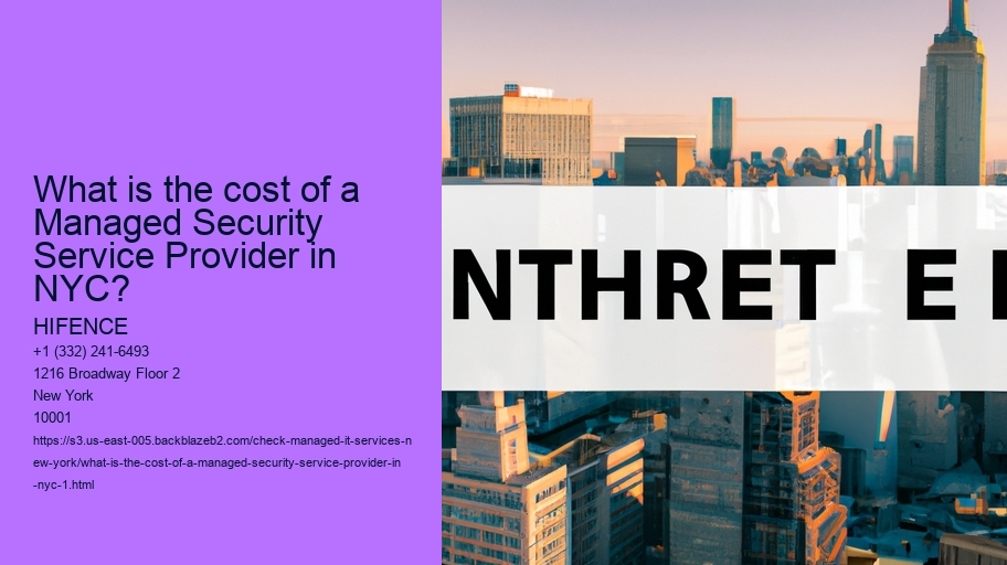 What is the cost of a Managed Security Service Provider in NYC?