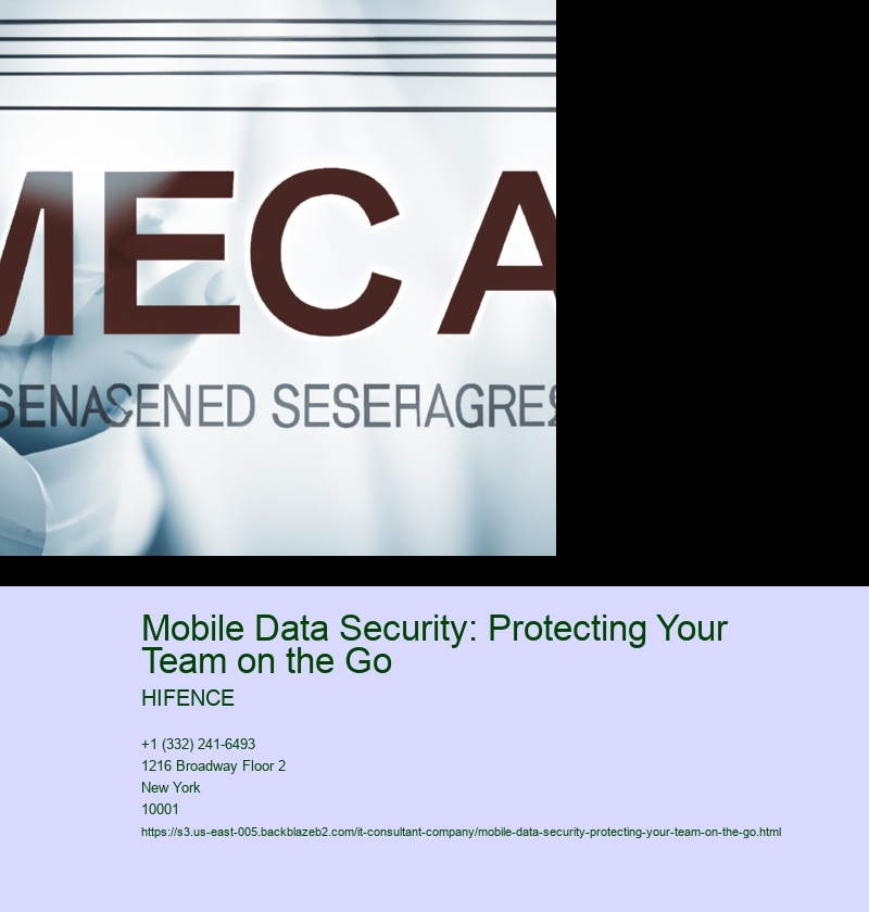 Mobile Data Security: Protecting Your Team on the Go