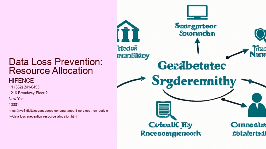 Data Loss Prevention: Resource Allocation