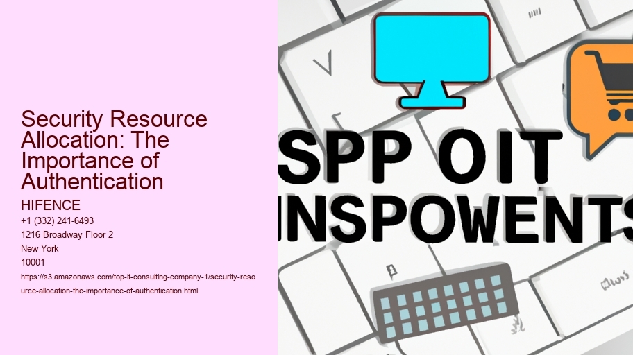 Security Resource Allocation: The Importance of Authentication