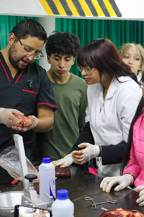 Puericultura en Salud