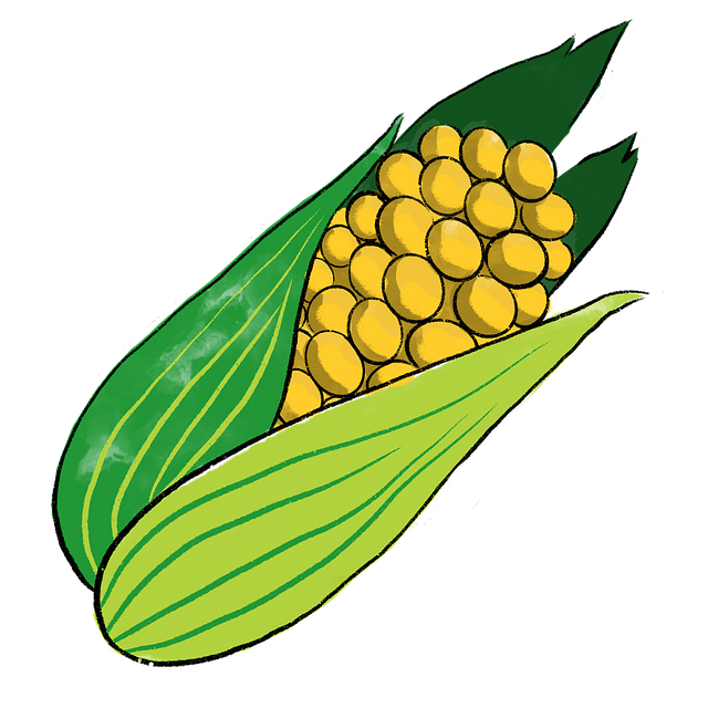 Corn Cob products