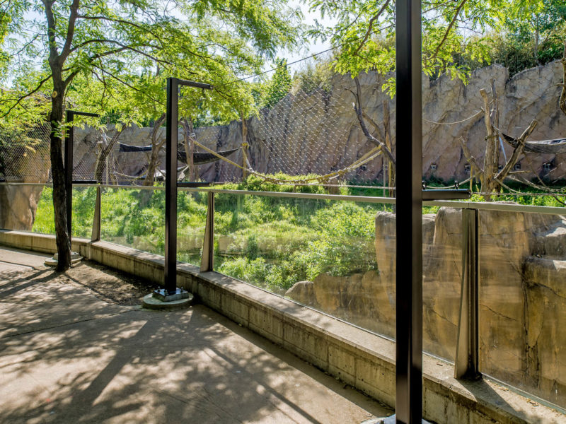 STL Zoo Fragile Forest Fence