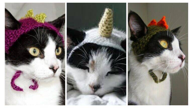 Touca para Gatos em Crochê: Passo a Passo Com Fotos