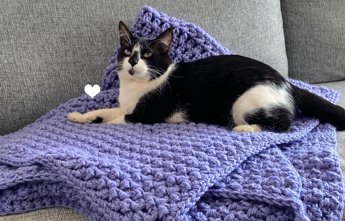 Manta de crochê Lavanda: Você precisa ter em casa!