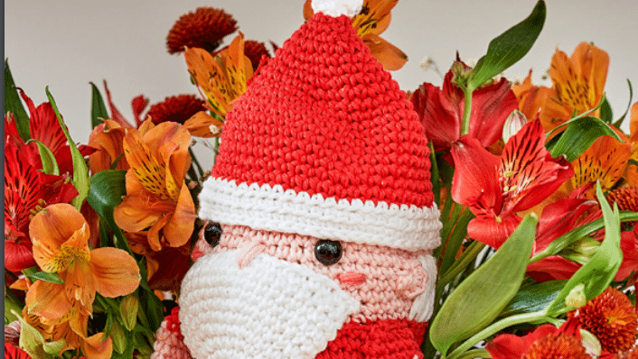 Amigurumi Papai Noel De Praia