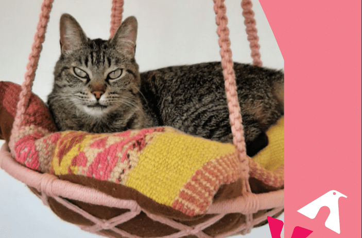 Caminha Suspensa Para Gatos em Macramê