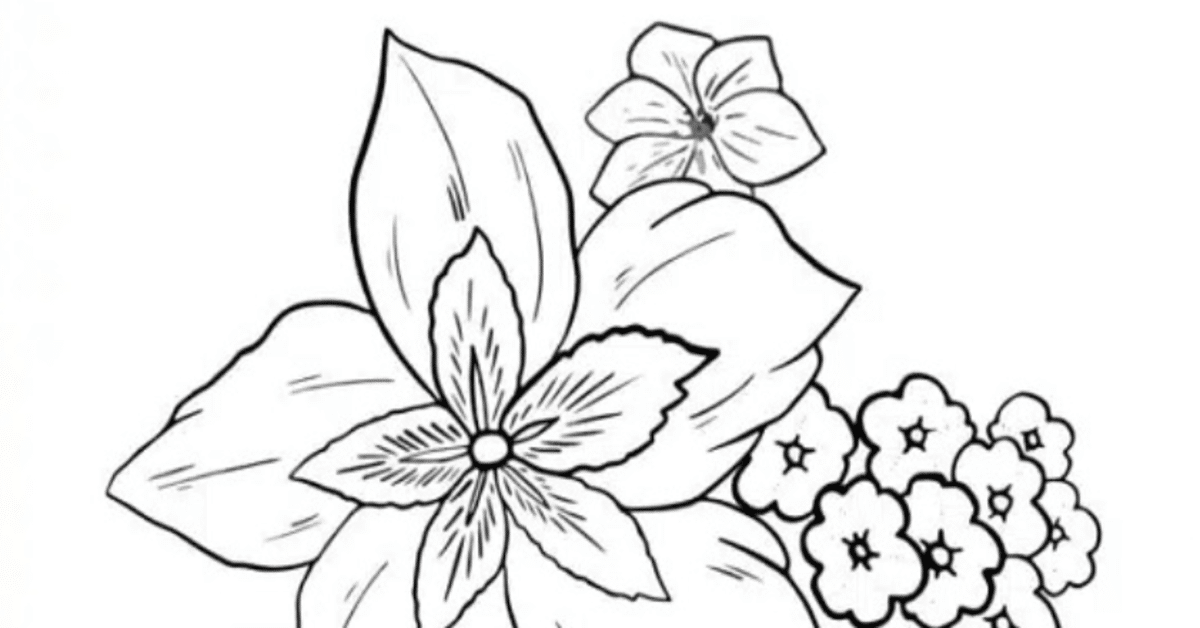 Desenhos para Colorir: Vários PNG Grátis, Confira!