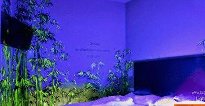 Transforme seu Lar com Cromoterapia: Guia Completo para uma Decoração 