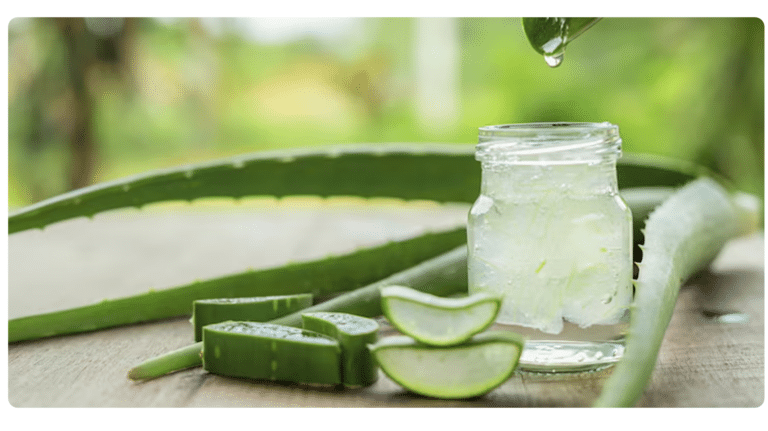 Descubra os Poderes da Aloe Vera para Cabelos e Pele!