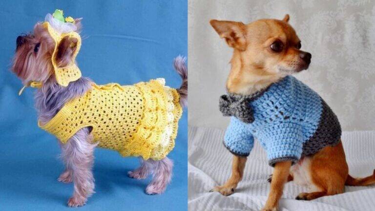 Roupas para Pets em Crochê: Estilo, Conforto e Muito Amor
