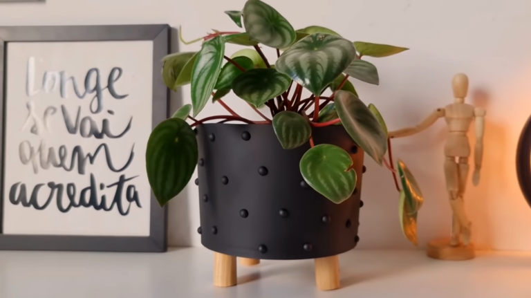 Ideias Geniais de Decoração: Do Lixo ao Luxo com DIY e Reciclagem!