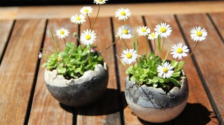 Ideias Criativas de Artesanato para Decorar seu Jardim