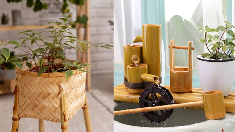 Explorando o Charme do Bambu Ornamental na Decoração