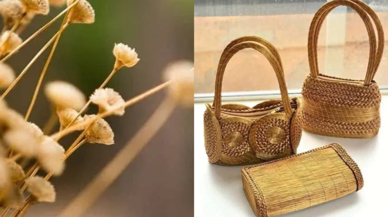 O Fascinante Mundo do Capim Dourado no Artesanato Brasileiro