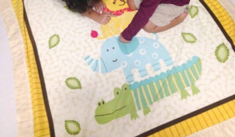 Manta Soft de Animais em Patchwork: Passo a Passo Completo