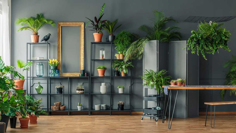5 Ideias Lindíssimas de Decoração de Interiores: Transforme Seu Espaço com Estilo