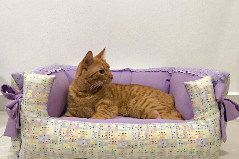 Cama Pet em Patchwork: Guia Completo para Criar a Sua