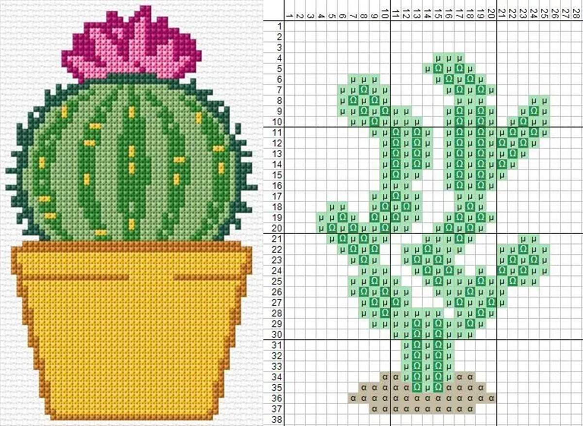 img-destaq-cactos