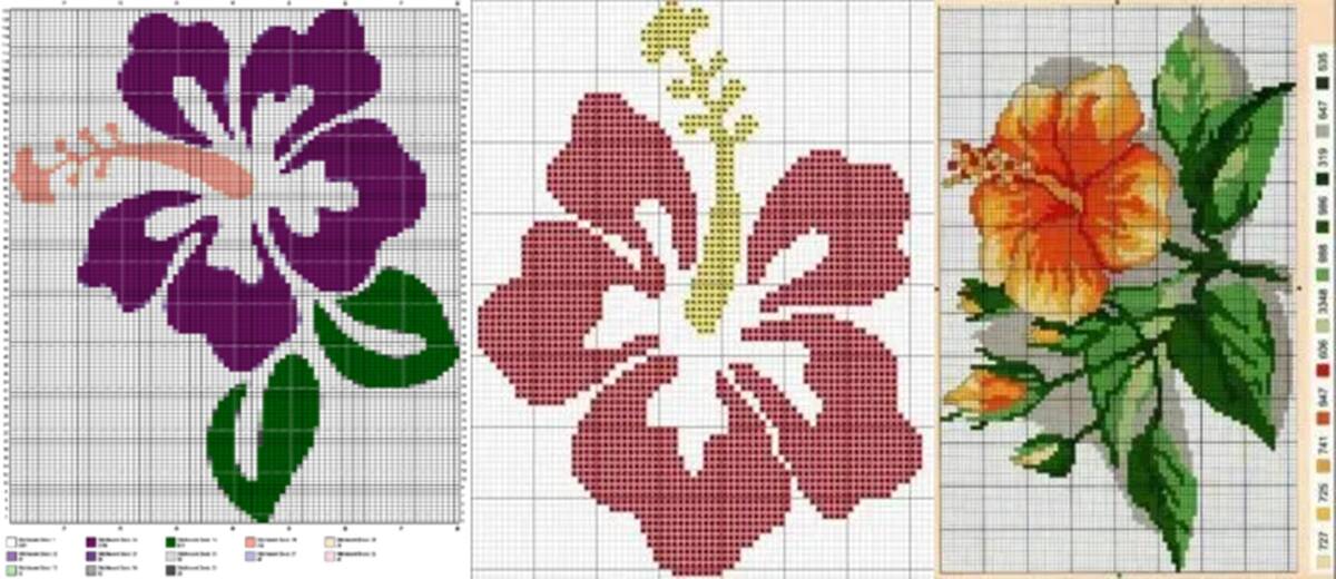 img-destaq-hibisco