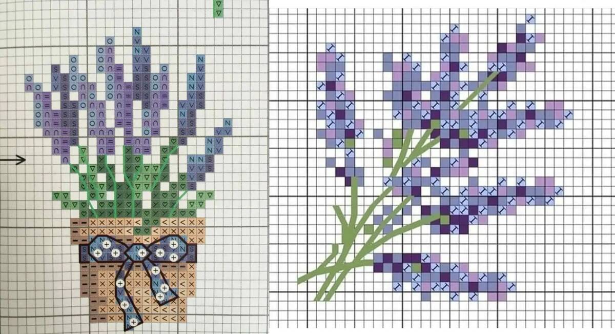 lavanda-img-destaque
