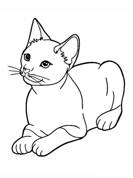 Molde de Gatos