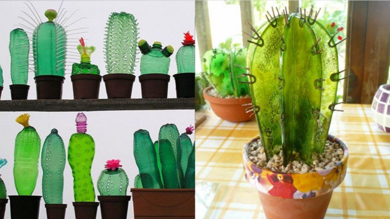 Transforme Garrafas PET em Objetos Valiosos: 5 Dicas Imperdíveis