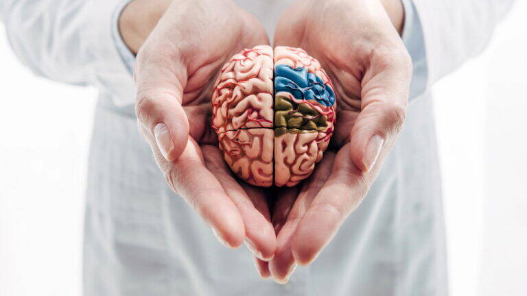 Neurociência da autoestima: como o cérebro molda nossa autoconfiança.