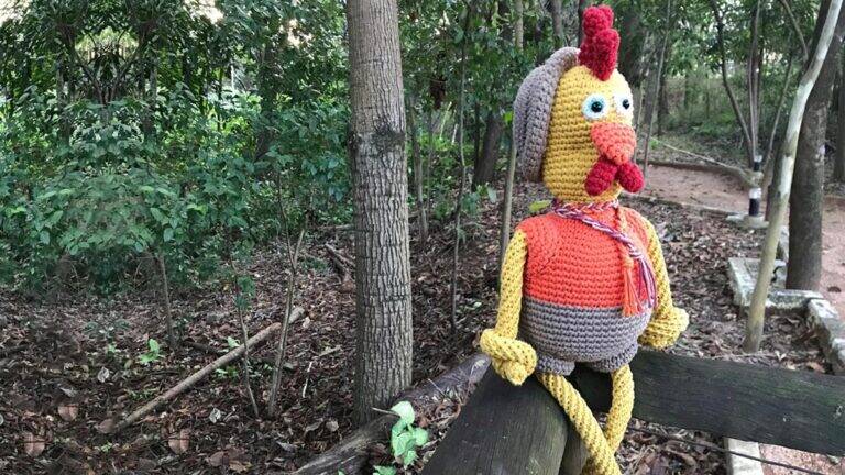 Amigurumi do Galo Rock: Um Projeto Divertido e Especial!