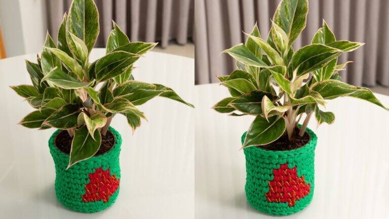 Cesto de Crochê: Um Detalhe Lindo para Sua Decoração!