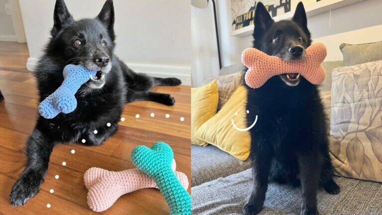 Amigurumi de Osso para Pets: O Presente Perfeito para Eles!