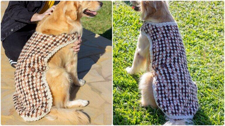 Suéter de Crochê para Cachorros Benicio: Arte Fofa para Eles!