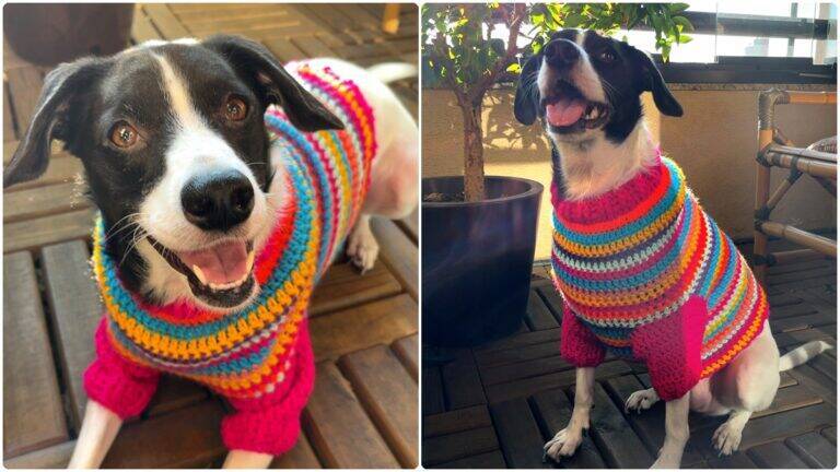 Roupa de Pet em Crochê: Faça essa Peça Fofa e Confortável!