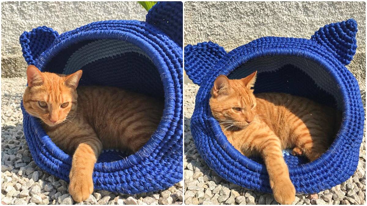 img-destaq-toca-de-gato-adulto-em-croche