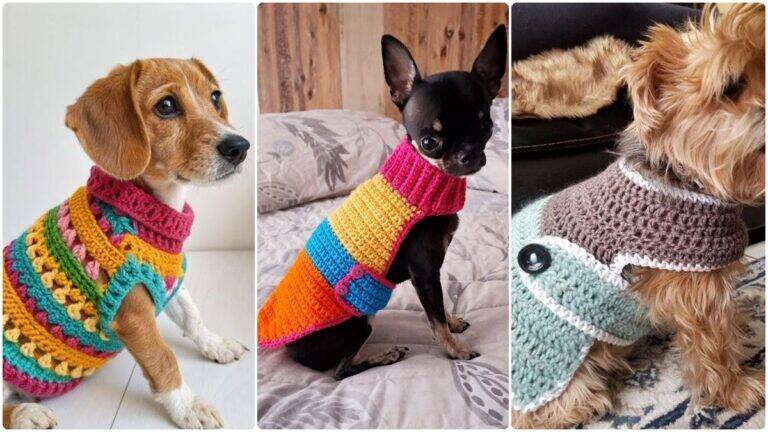 Guia Completo de Roupas Pet em Crochê: Tendências e Gráficos Atualizados!