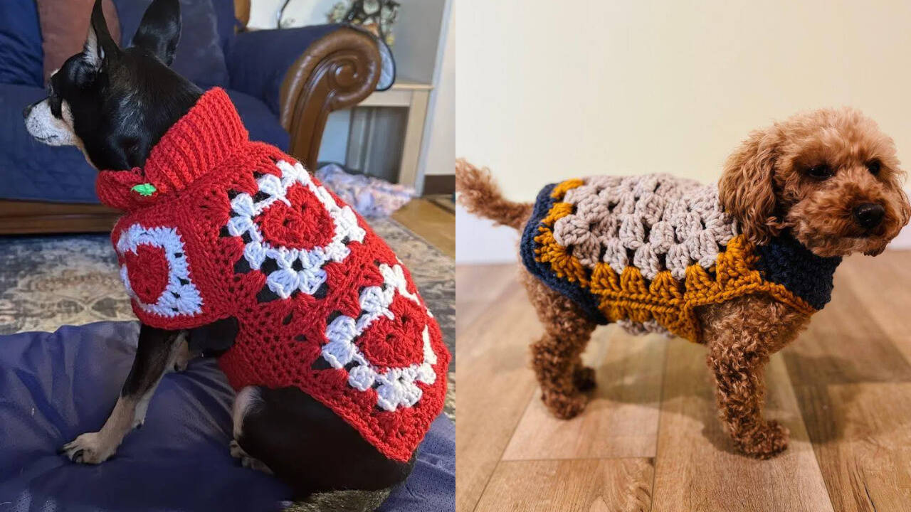 Crochê Pet: roupinhas artesanais para cães e gatos que encantam!