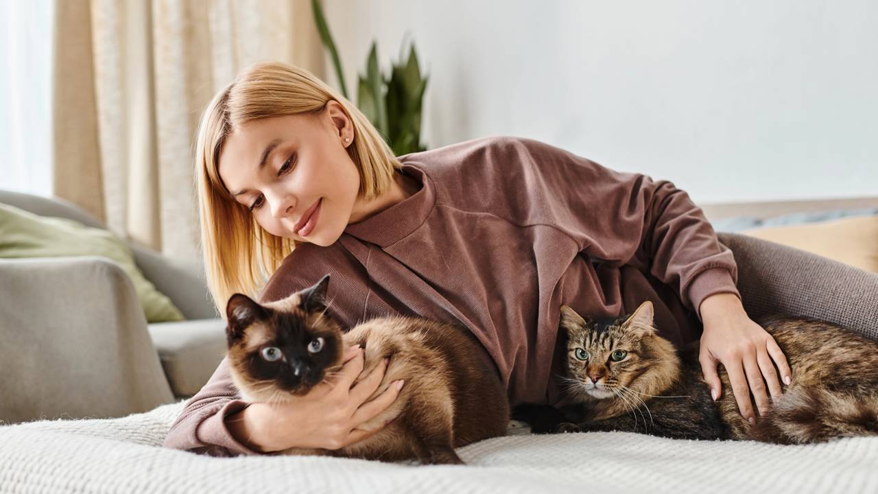 gatos_1759973451761