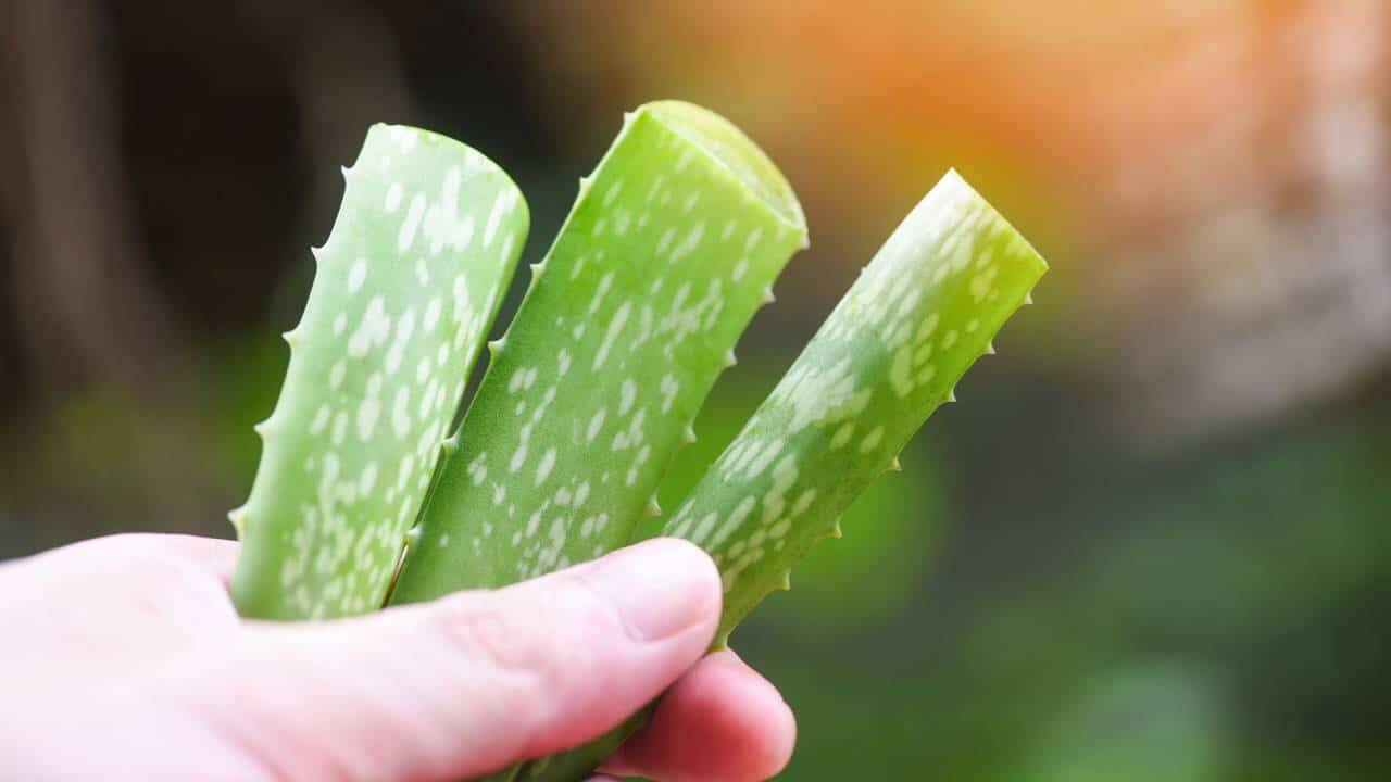 gel natural_1761859082377