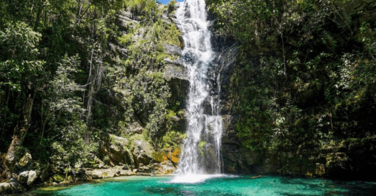 Cachoeira de águas cristalinas na Chapada dos Veadeiros, cercada por vegetação exuberante e paredões rochosos — um refúgio natural de beleza e tranquilidade em meio ao cerrado goiano.