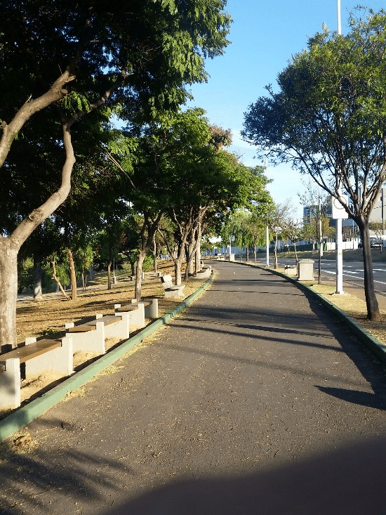 Imagem de uma pista de caminhada do Parque Ecológico de Indaiatuba